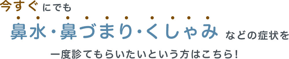 今すぐにでも鼻水 ・ 鼻づまり ・ くしゃみなどの症状を 一度診てもらいたいという方はこちら！