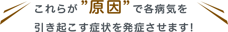 これらが”原因”で各病気を引き起こす症状を発症させます!