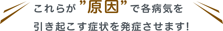 これらが”原因”で各病気を引き起こす症状を発症させます!